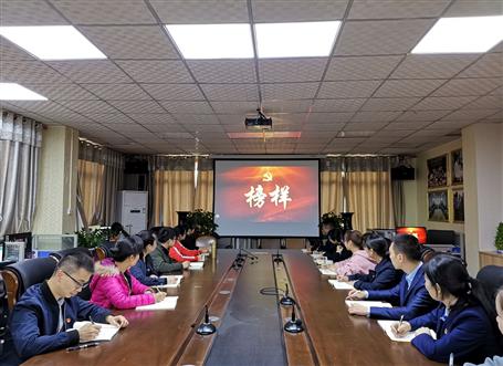 向榜樣看齊，做合格黨員