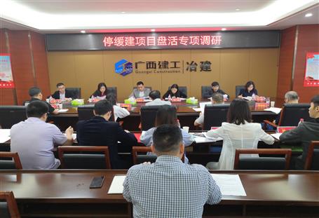 公司開展停緩建項(xiàng)目專項(xiàng)調(diào)研